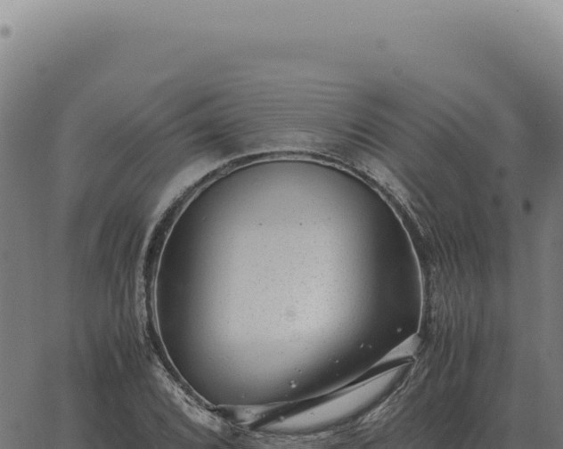 X0000063501072200601271739