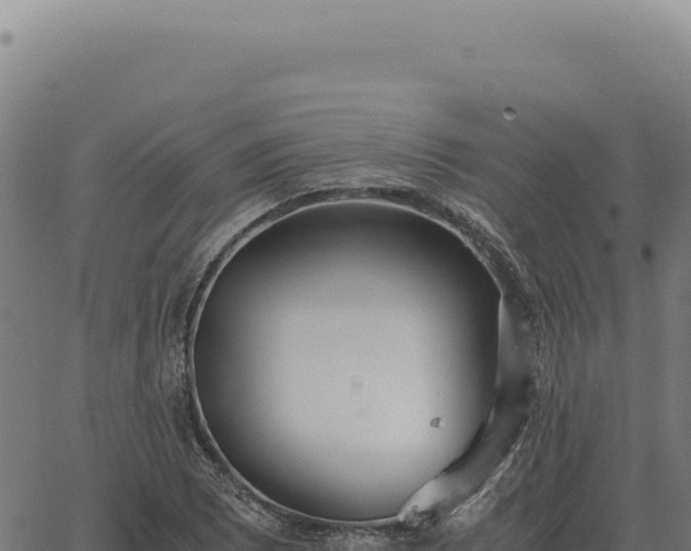 X0000063501073200601271739