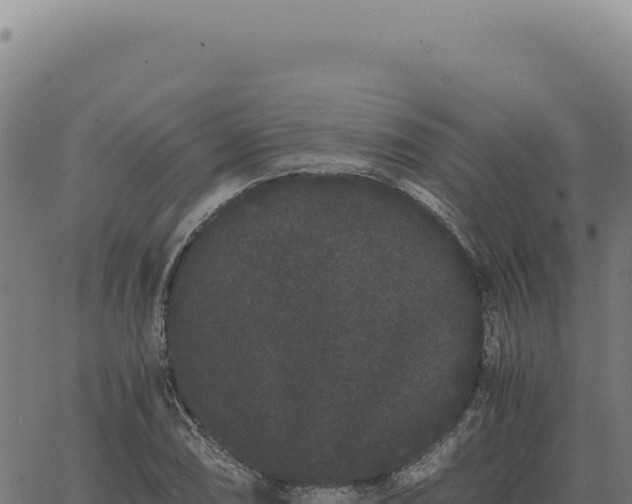 X0000063501074200601271739