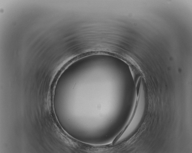 X0000063501076200601271739