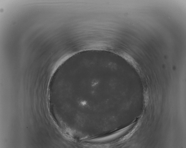 X0000063501077200601271739