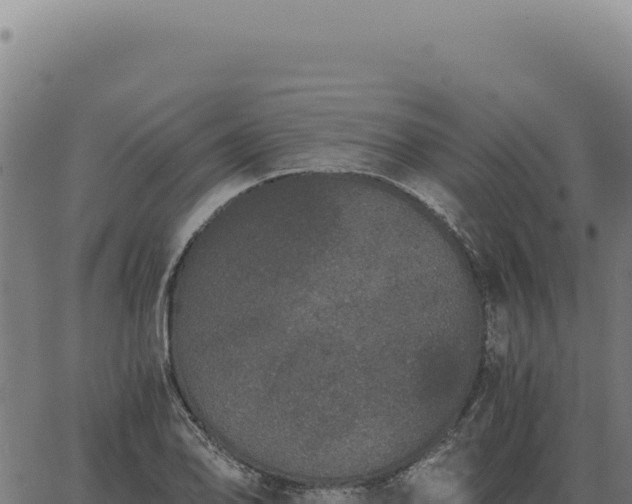 X0000063501078200601271739