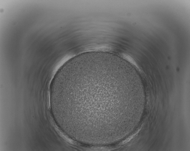 X0000063501079200601271739