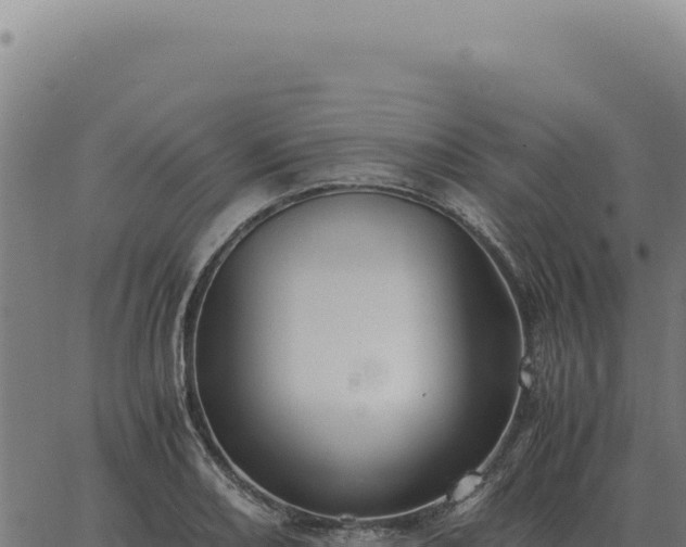 X0000063501082200601271739