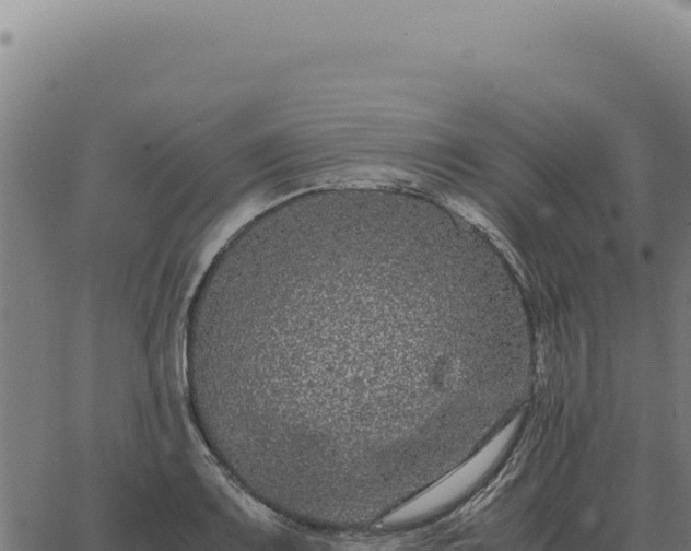 X0000063501083200601271739