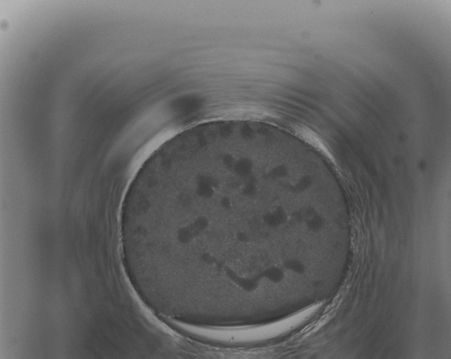 X0000063501087200601271739