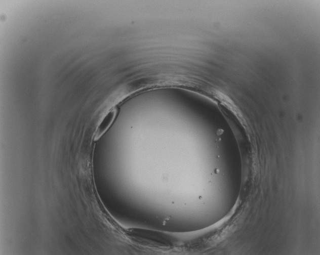 X0000063501089200601271739