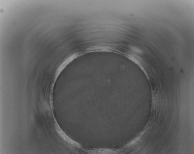 X0000063501090200601271739