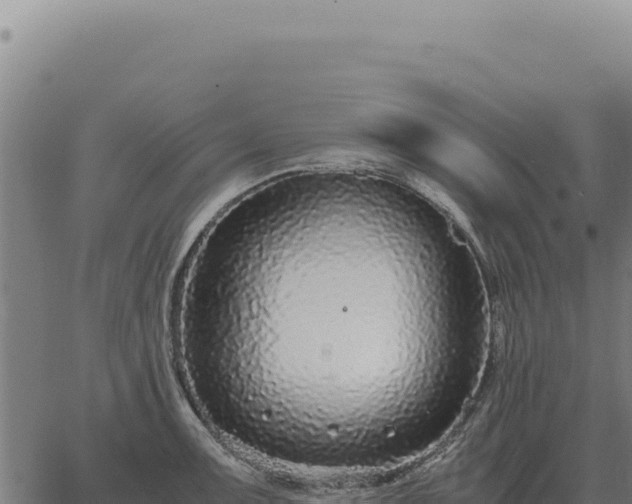 X0000063501091200601271739