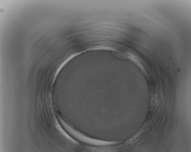 X0000063501092200601271739