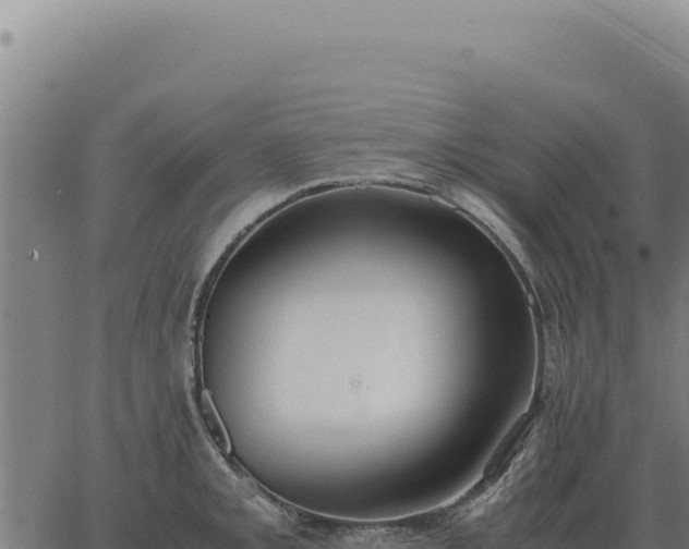 X0000063501093200601271739