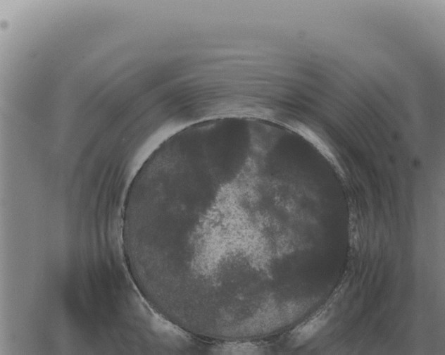 X0000063501094200601271739