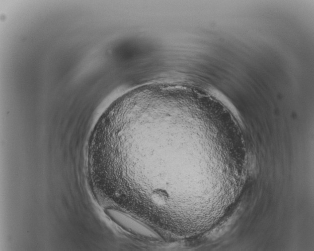 X0000063501099200601271739