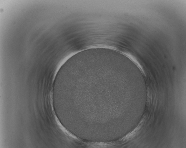 X0000063501100200601271739