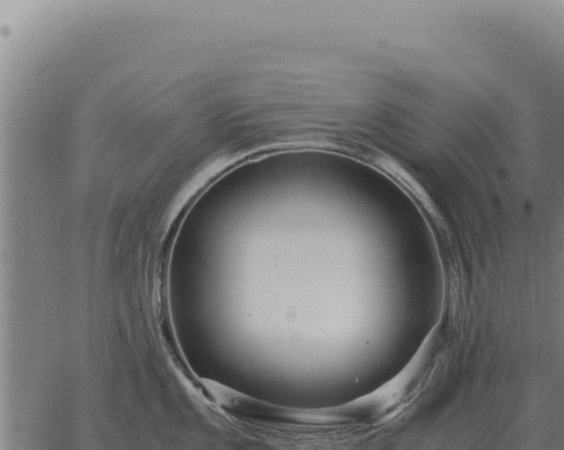 X0000063501101200601271739