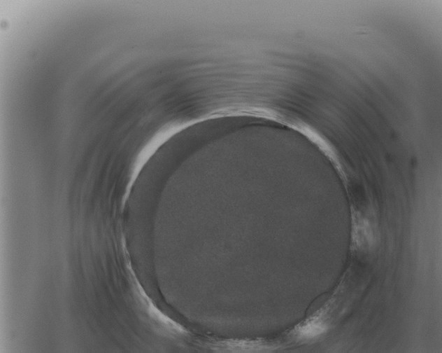 X0000063501102200601271739