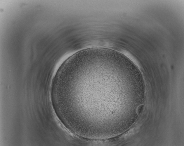 X0000063501104200601271739