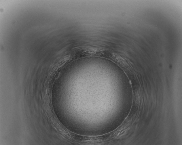 X0000063501105200601271738