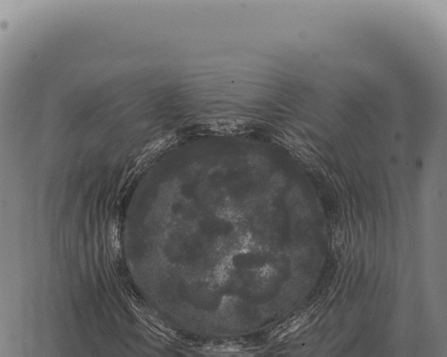 X0000063501106200601271738