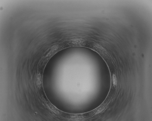 X0000063501107200601271738