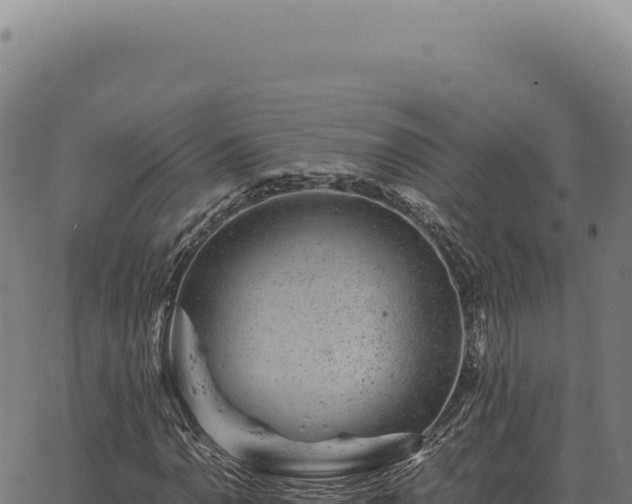 X0000063501110200601271738