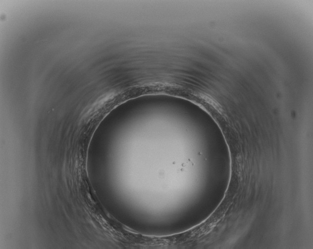 X0000063501111200601271738