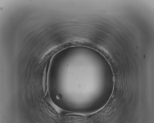 X0000063501112200601271738