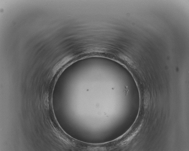 X0000063501113200601271738