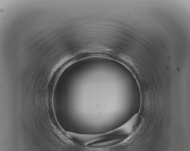 X0000063501114200601271738