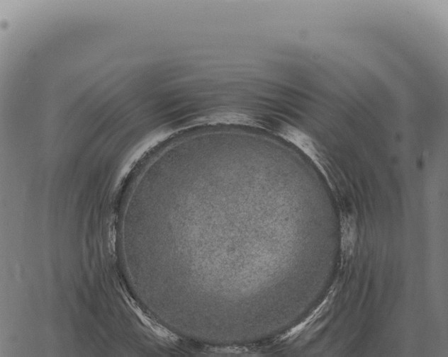 X0000063501115200601271738