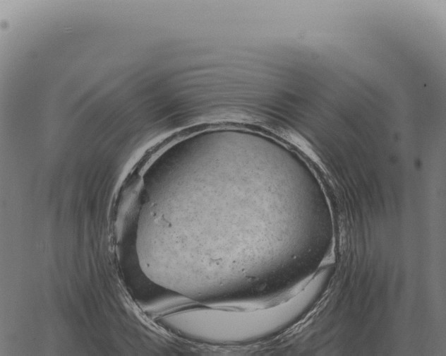 X0000063501116200601271738