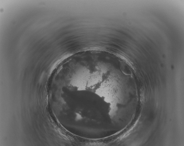 X0000063501117200601271738