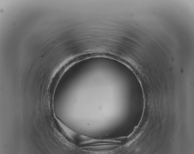 X0000063501118200601271738