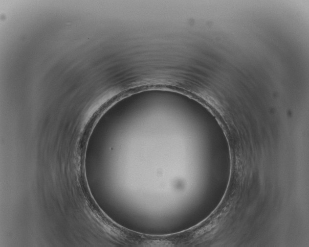 X0000063501119200601271738