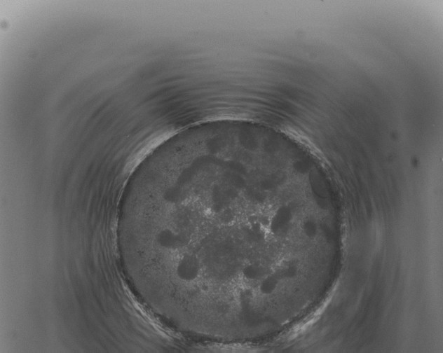 X0000063501121200601271738