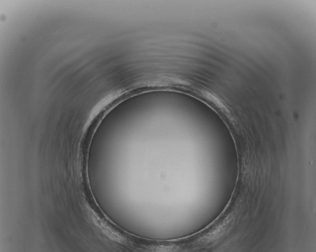 X0000063501122200601271738