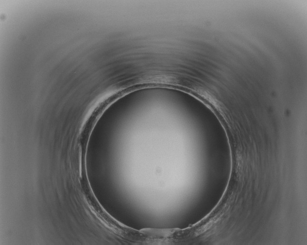 X0000063501123200601271738