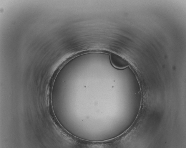 X0000063501126200601271738