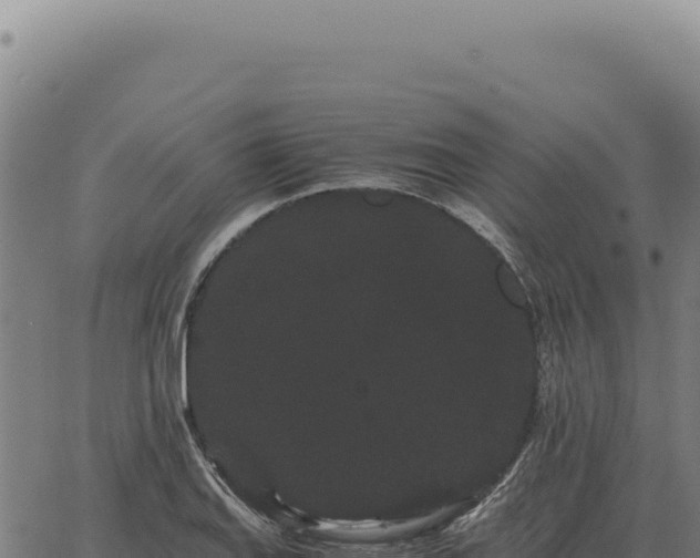 X0000063501127200601271738