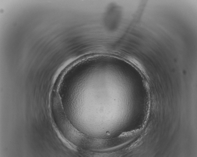 X0000063501128200601271738