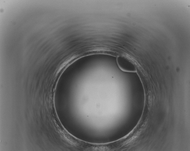 X0000063501129200601271738