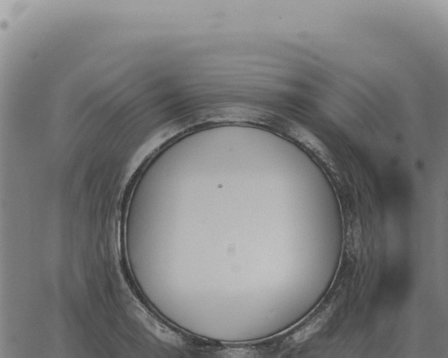 X0000063501130200601271738