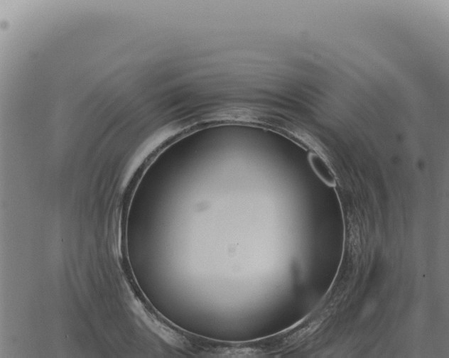 X0000063501131200601271738