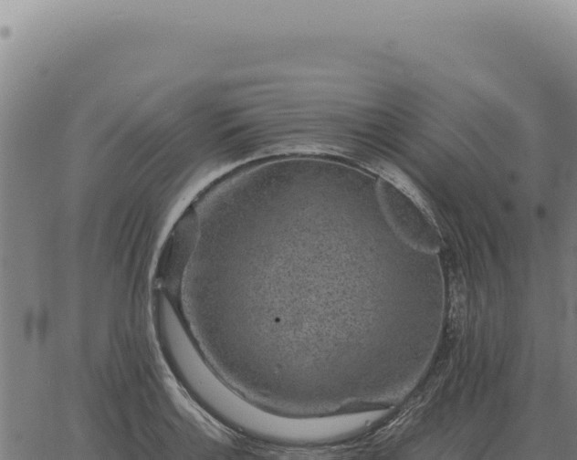 X0000063501132200601271738