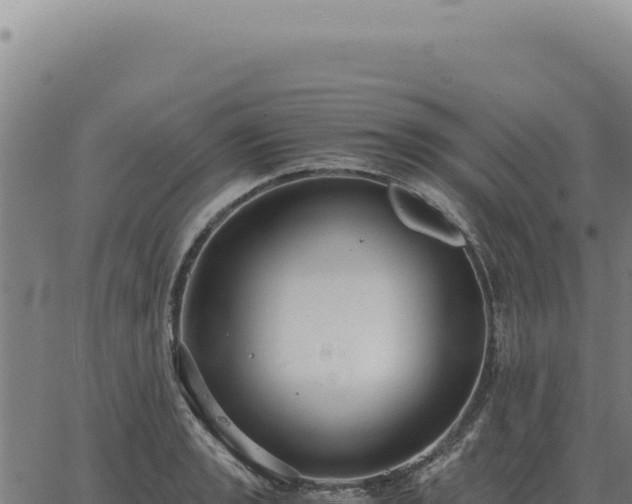 X0000063501133200601271738