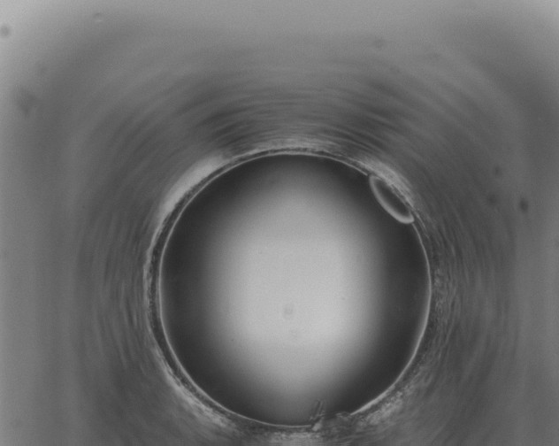 X0000063501135200601271738