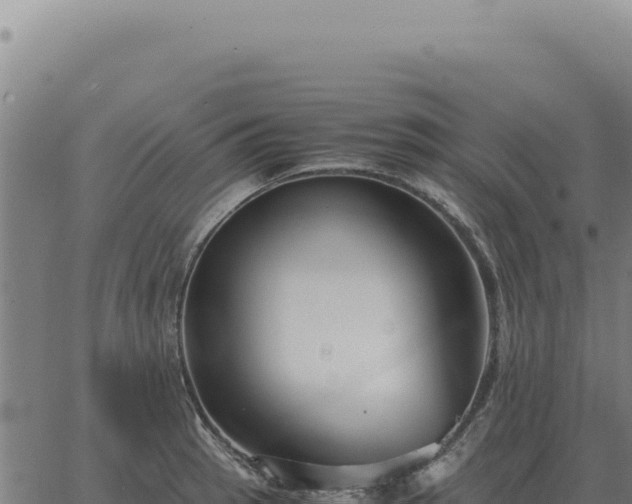 X0000063501137200601271738