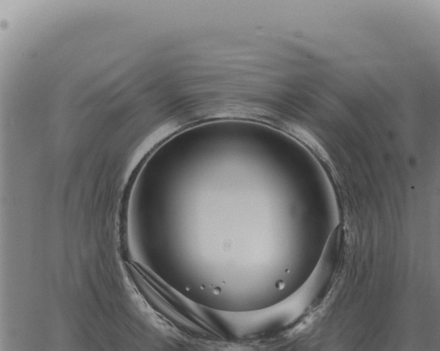 X0000063501138200601271738