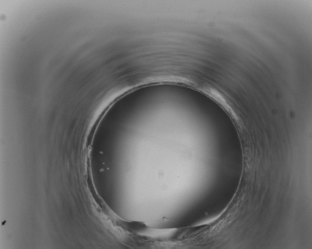 X0000063501140200601271738