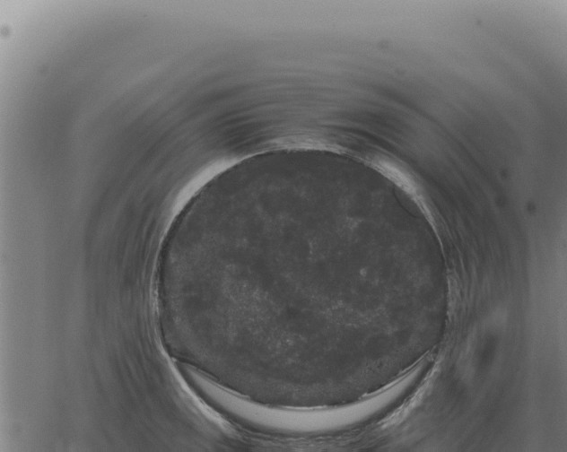 X0000063501141200601271738